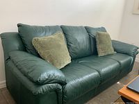 Angled view of couch showing three cushions and one pillow on left