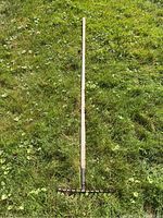 Full view of garden rake laid on grass showing wooden handle and metal rake head with 10 tines