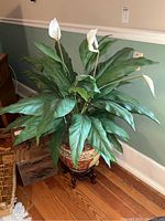 Full view of artificial peace lily plant in ceramic planter on wood stand showing plant leaves and flowers, ceramic pot pattern, and wood stand base.