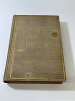 Front cover of book with gold embossed title and visible stains