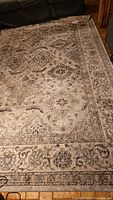 Photo of beige viscose rug with intricate Athena floral and medallion pattern, showing the full width and part of length near furniture.