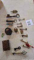 Collection of antique keys and locks displayed on a white surface, including large and small keys, padlocks, and lock plates