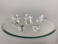 Top view showing all five clear Swarovski crystal figurines displayed on oval beveled mirror base; includes two clams, two turtles, and one seashell.