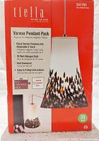 Single box photo showing branding and product image of Varese pendant light with leopard spotted glass shade, 5-foot adjustable cord, 35 watt halogen bulb, and rail connector.