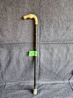Full length of the cane showing the brass horse head handle, black shaft with wear, and rubber tip on bottom.