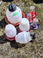 Top-down photo of eight poultry feeders and waterers on grass, showing different sizes and colors with visible dirt and wear.