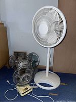 Wide view showing all five fans including Lasko pedestal fan and four smaller metal and plastic fans grouped together on blue carpet.