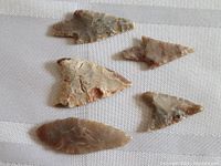 Five flint arrowheads and spearheads laid on white textured background, showing size and shape details