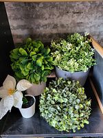 Four artificial plants arranged on a shelf: a round leafy topiary, two green leaf plants in gray pots, and a white flowering plant in a small white pot.