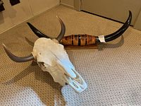 Cow skull in front with mounted bull horns behind on carpeted floor