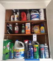 Shelf with various household cleaning products including large Clorox bleach bottles, Cascade dishwashing soap, Ajax cleaner, Comet bleach, and others.