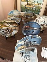 Collector plates displayed on a wooden surface, showing various wildlife scenes with Canada geese and ducks. Plates displayed using black stands.