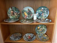 Shelf displaying seven collector plates featuring birds and raccoons in natural settings with vibrant colors and gold trim edges.