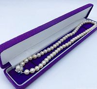 Necklace displayed in purple velvet box showing full strand and clasp