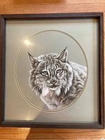 Overall view of framed bobcat portrait artwork under glass with wooden frame.