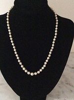 Full view of the faux pearl necklace displayed on a black bust stand, showing the graduated size of pearls along the 16.5 inch strand.
