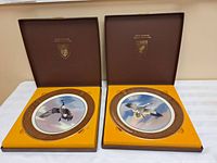 Photo showing two boxed Ducks Unlimited collector plates with artwork of flying waterfowl in hinged display cases.