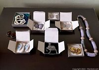 Photo showing the jewelry items arranged on a flat surface with most of the pieces inside white jewelry boxes including silver cat brooch, earrings, and beaded necklace.
