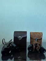 Front view showing two binoculars and their cases, one black with dark brown smooth leather case, the other black with tan textured leather case.