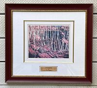 Full view of framed lithograph showing burgundy frame, double matting, and wooden plaque with title and artist signature.