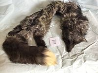 Fox fur collar with head, legs, and tail spread on a white sheet, showing natural fur colors and details.