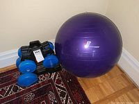 Photo showing the full set including dumbbells on the black stand beside the purple exercise ball on the floor.