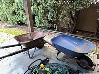 Two metal wheelbarrows side by side on concrete patio, one rusty brown and one blue, with garden hose and nozzle coiled nearby.