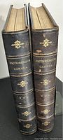 Two black leather bound volumes side by side showing gilt decorations on spine reading 'Picturesque Canada Vol I' and 'Picturesque Canada Vol II'