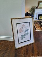 Framed botanical print of pink and white roses titled 'Rosa Damascena' with gold ornate frame and white matting