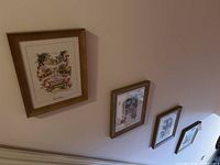Four framed floral prints arranged vertically on a wall showing size and framing style.
