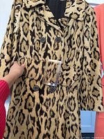 Close-up image of animal print swing coat with double-breasted buttons and wide matching belt with brass buckle.