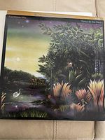 Photo of Fleetwood Mac "Tango in the Night" vinyl record cover with nature-themed artwork showing some minor water/moisture damage.