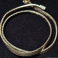 Full view of necklace coiled showing chain details and clasp