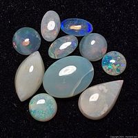 Photo shows ten polished opal gemstones in various shapes on a black background, highlighting their color spectrum and translucence.
