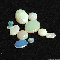 Loose opal gemstones displayed on black fabric, showing variety in size, shape, and color play
