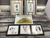Overview of six framed pictures on a rustic wooden surface showing three dog portraits in black frames, two green potted plant floral prints in striped wooden frames, and one inspirational quote in a white frame.