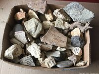 Overview of the box with various collector stones, some labeled with origins and collection dates.