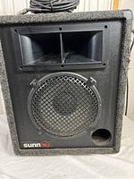 Front view of Sunn 1110 loudspeaker showing black carpeted cabinet, metal grille protecting woofer, horn tweeter, port hole, and Sunn logo.