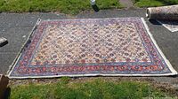 Full view of the Persian style area rug laid out on grass, showing overall size and pattern including fringe.