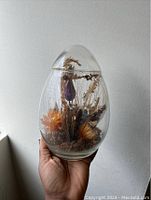 Full view of the vintage egg-shaped glass terrarium held by hand showing dried flowers and botanicals inside with one tall purple dried flower and moss at the base.