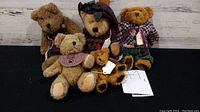 Group photo of five Boyds Bears plush dolls showing varied sizes and clothing details