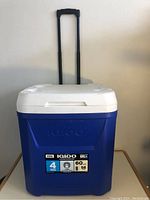 Front view of the blue and white Igloo rolling cooler with extended telescoping handle.