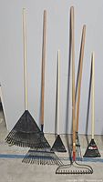 Full view of six rakes standing upright, showing different sizes and rake types.