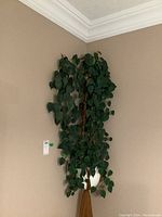Full view of the hanging plant against a beige wall.