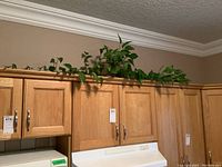 Wide shot of green plant atop wooden kitchen cabinets showing overall setting and plant size.