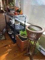 Full view of the wooden plant stand with multiple live plants on and around it, additional pots visible underneath and on adjacent stands