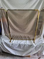 Front view of the brass and glass fireplace screen showing the entire front surface and base.