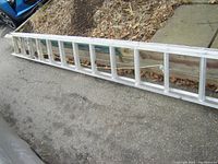 Full length view of the aluminum extension ladder resting on pavement beside a garden bed, showing condition and construction.