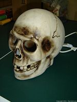 Skull-shaped light showing side profile with realistic bone color and dark shading detailing cracks and eye sockets. White power cord visible.