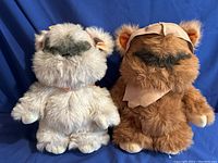 Two Ewok plush dolls side by side on blue fabric background, showing front.